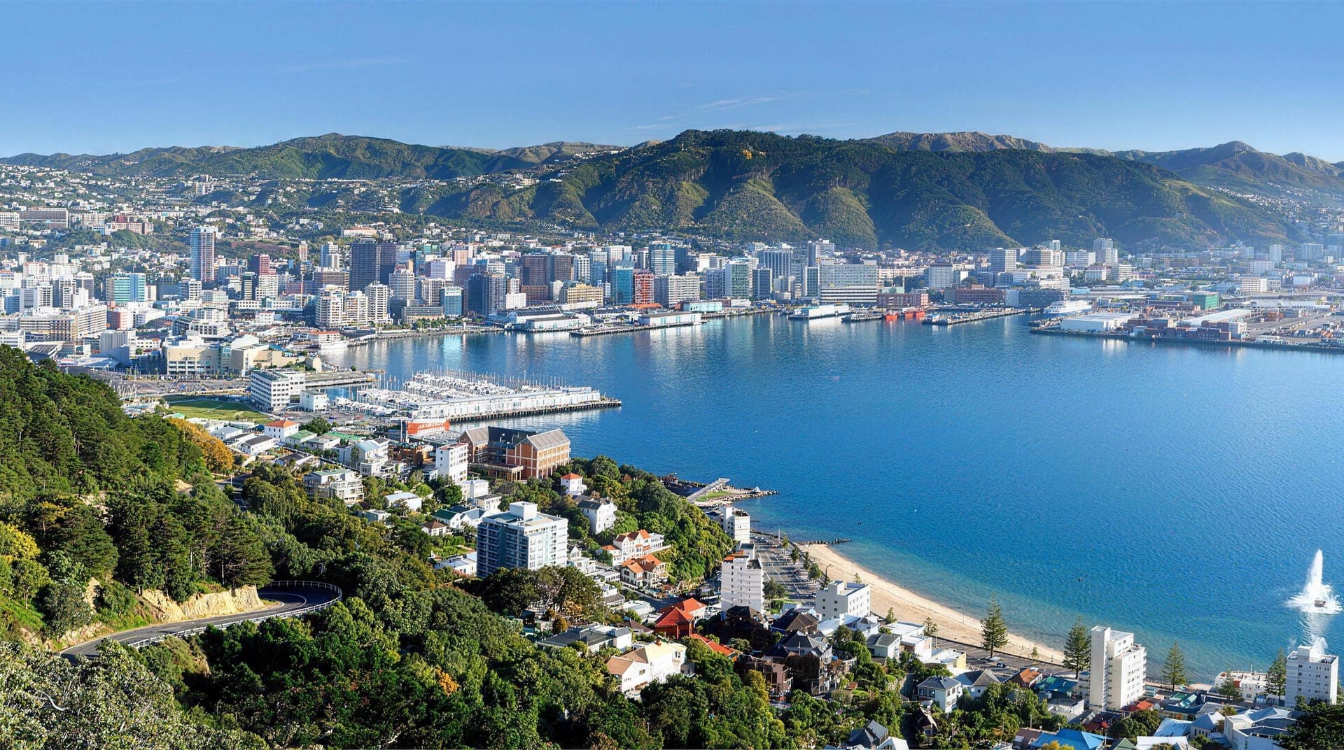 Workplace health services in Wellington